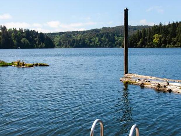 Photo 25 for Nestled in the Pines Lakefront Retreat with Kayak
