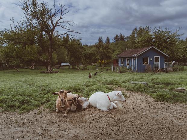 Photo 12 for A Peaceful Nordic Cabin Escape