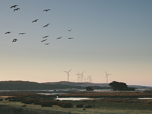 Photo 17 for Lakeview House: Peaceful Lakeside Homestead on the Great Ocean Road