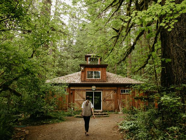Photo 5 for A Grounding Retreat in the Forest