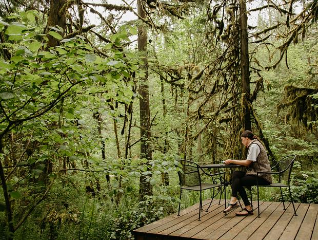 Photo 4 for A Grounding Retreat in the Forest