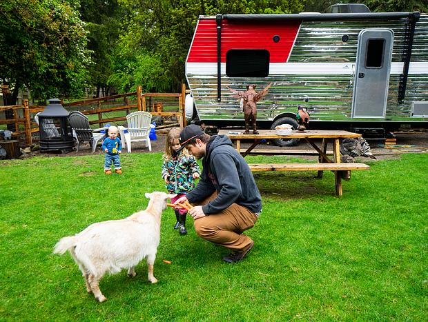 Photo 7 for Glamping on the Mini-Farm