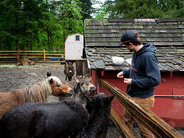 Photo 8 for Glamping on the Mini-Farm