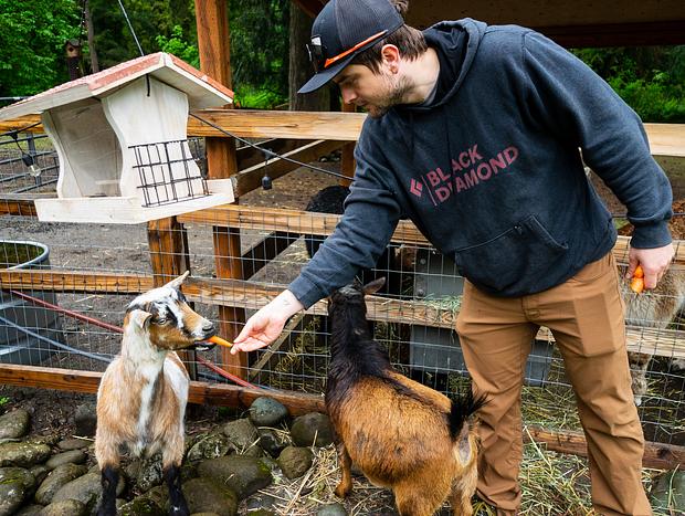 Photo 2 for Meeting Furry Friends at Flyin' Pig Ranch