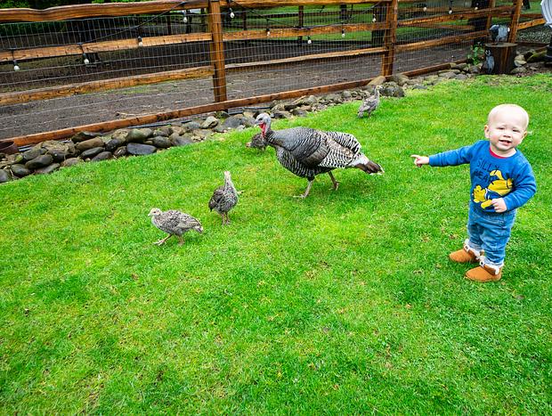Photo 4 for Meeting Furry Friends at Flyin' Pig Ranch