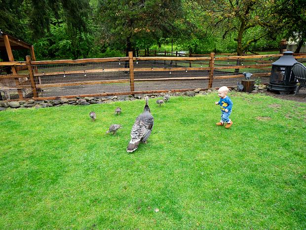 Photo 5 for Meeting Furry Friends at Flyin' Pig Ranch