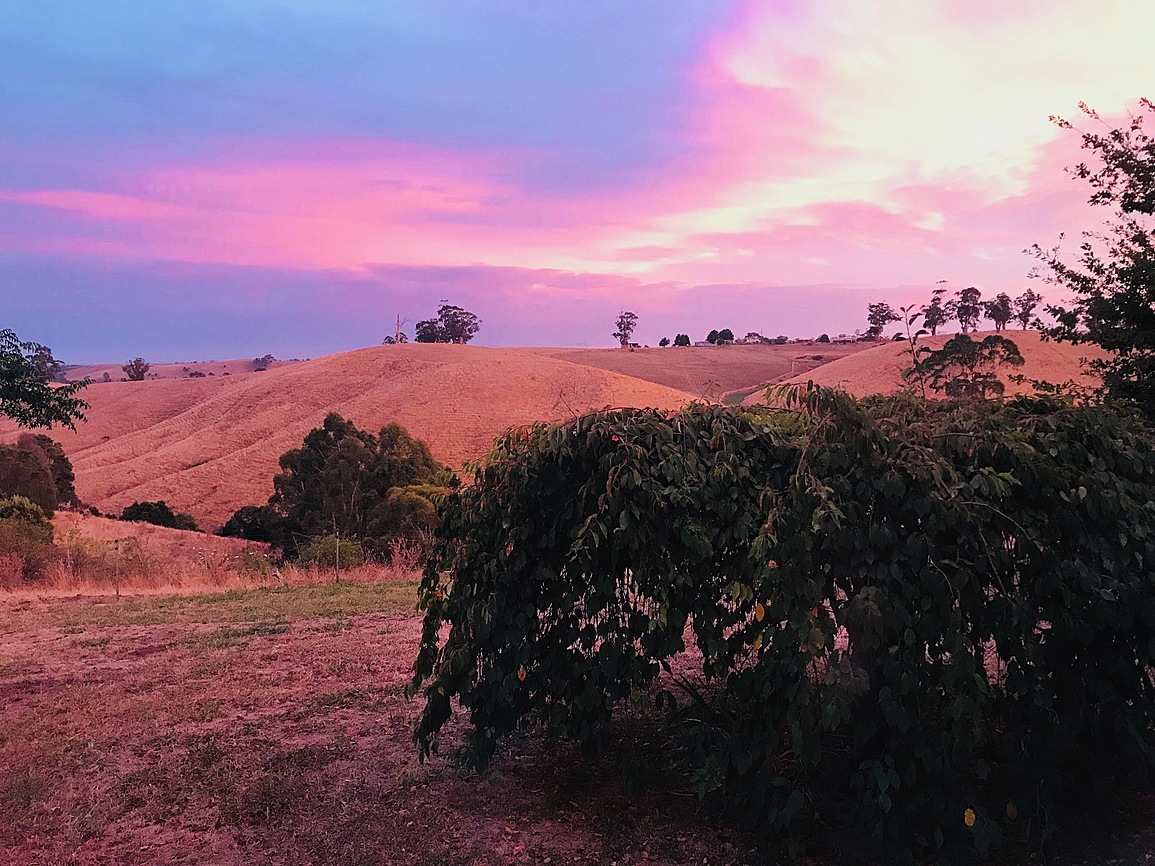 Luxurious Glamping in Beautiful South Gippsland Glamping for Rent in