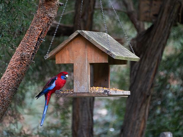 Photo 2 for Spotting Wildlife