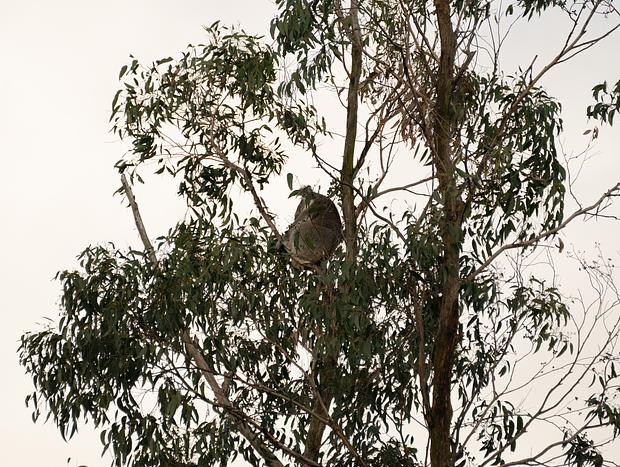 Photo 3 for Spotting Wildlife