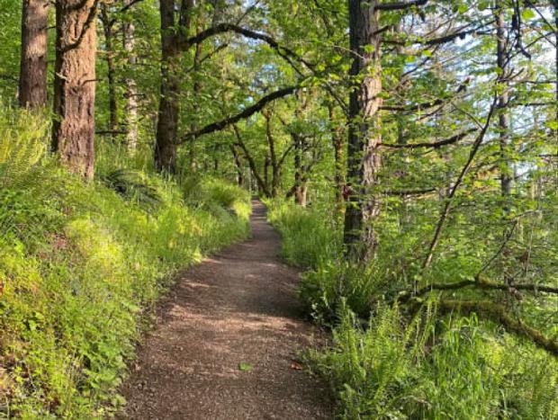 Photo 18 for Tall Firs Tiny Home - Walkable to Ridgeline Trail
