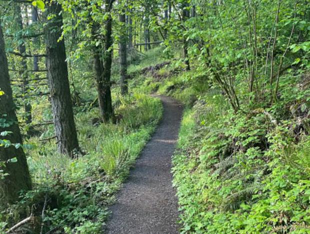 Photo 17 for Tall Firs Tiny Home - Walkable to Ridgeline Trail