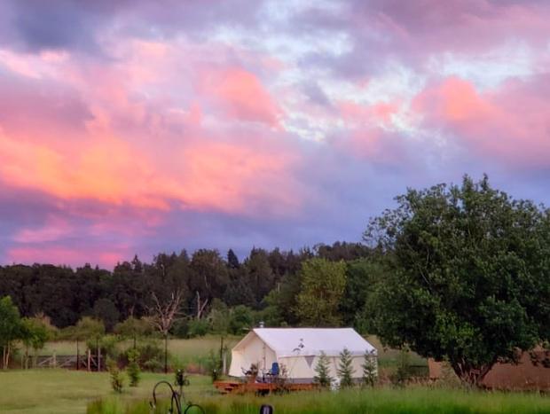 Photo 20 for Private Luxury Glamping - Swimming Pool/Hot Tub