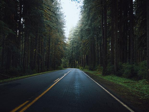 Photo 19 for A Classic PNW Getaway
