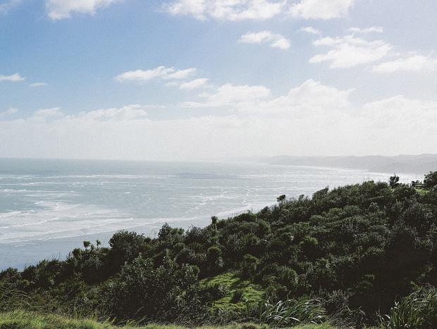 Photo 24 for Little Bush Haven