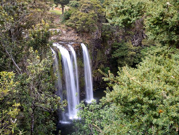 Photo 3 for Otuihau Whangārei Falls