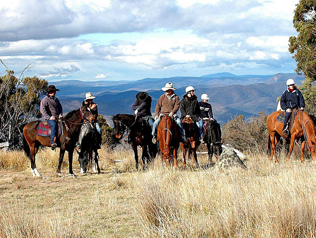 Photo 9 for The Cottage Snowy Mountains