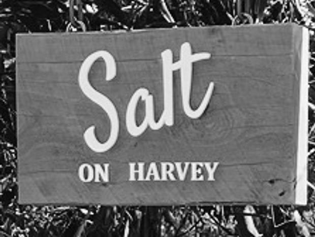 Photo 23 for Salt on Harvey: Stylish Coastal Getaway