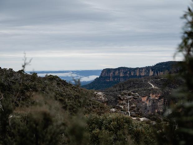 Photo 4 for Bushwalk at Boars Head
