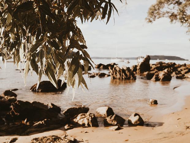 Photo 2 for Walking in Ku-ring-gai Chase National Park