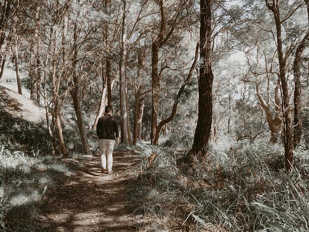Photo 1 for Walking in Ku-ring-gai Chase National Park