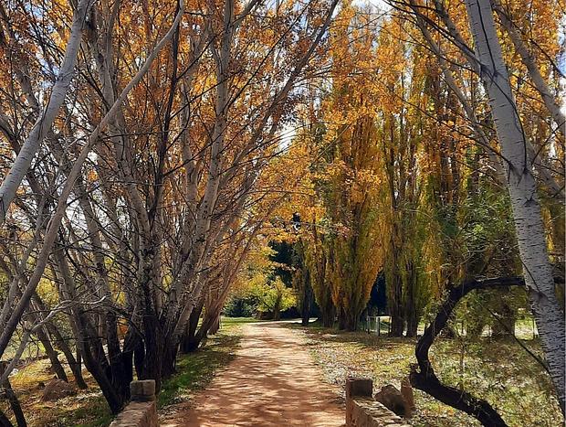 Photo 29 for Markdale - Beautiful Country Farm Stay