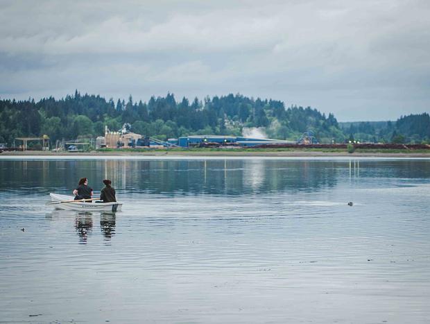 Photo 5 for Row Boating with Seals