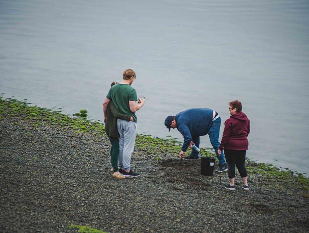 Photo 4 for Clams and Oysters