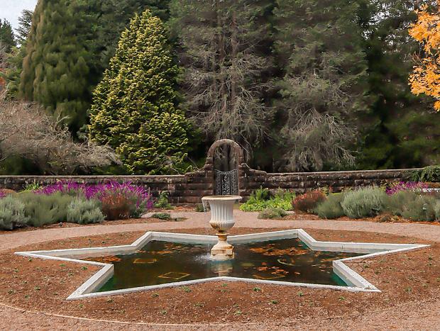 Photo 3 for Autumn Stroll at Mount Wilson