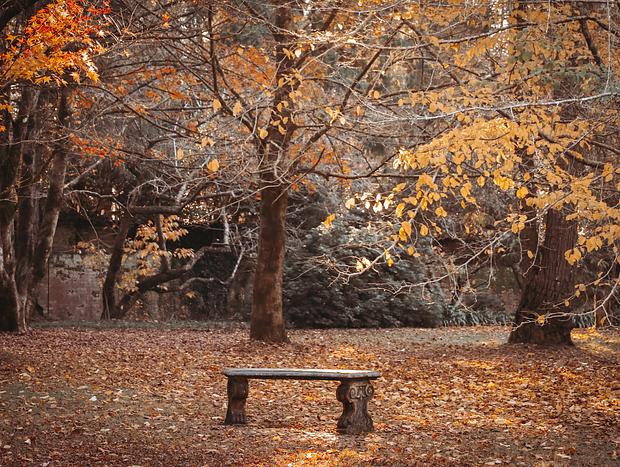 Photo 4 for Autumn Stroll at Mount Wilson