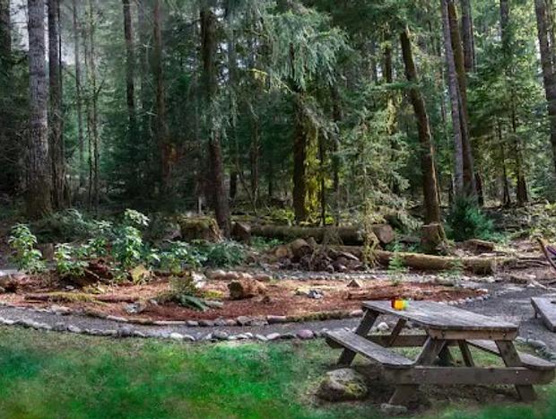 Photo 25 for Woodland Cabin Rental with a Cedar Hot Tub and Sauna in Packwood