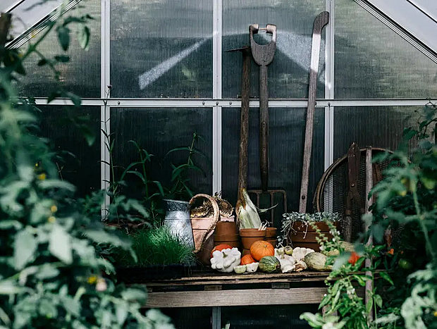Photo 20 for Acre of Roses Miners Cottage Retreat
