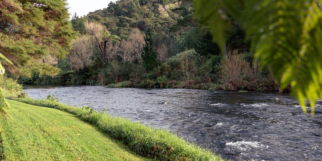 Pinehaven Riverside Cottage Cottage for Rent in Katikati, Bay of