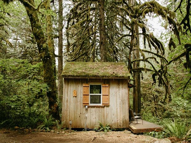 Photo 3 for A Grounding Retreat in the Forest