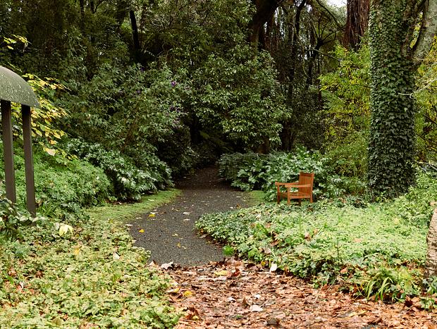 Photo 3 for Katikati Bird Gardens