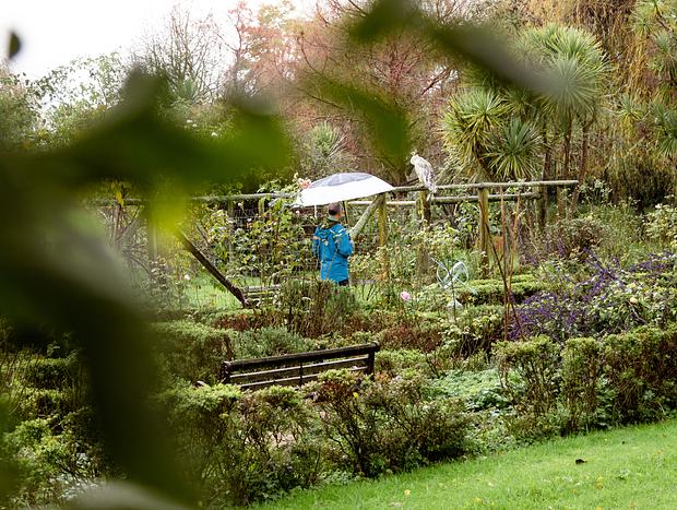 Photo 4 for Katikati Bird Gardens