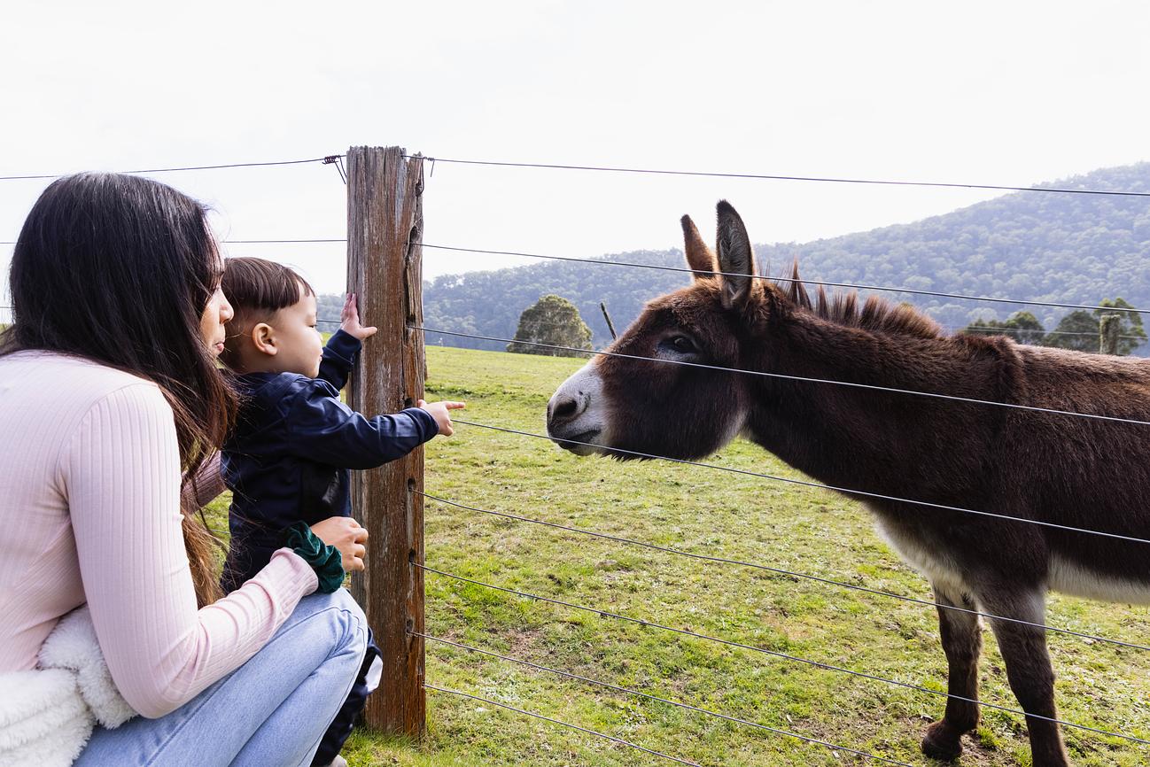 Meet The Neiggghbours Riparide