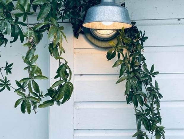 Photo 19 for Puget Island Haus - Cozy Scandinavian Bungalow
