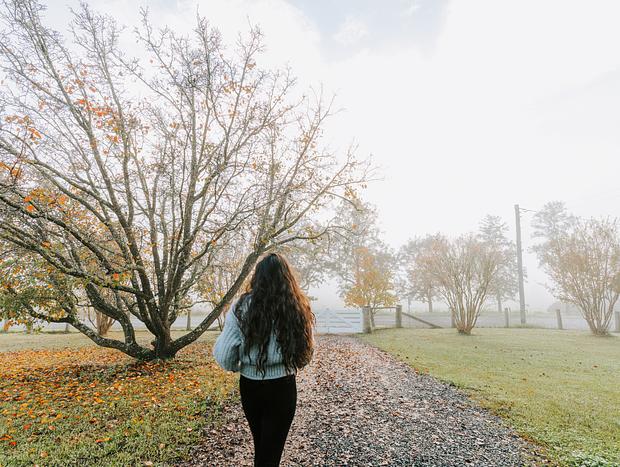 Photo 18 for Misty Mornings in Waukivory