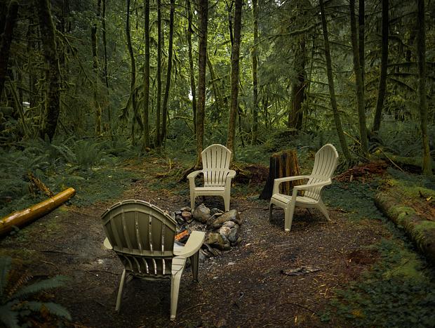 Photo 9 for Forest Bathing on the Mountain
