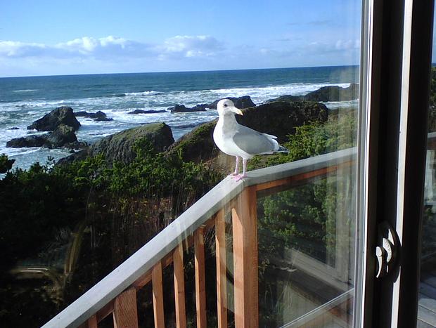 Photo 28 for Boutique Cottage - Intimately Private with Hot Tub