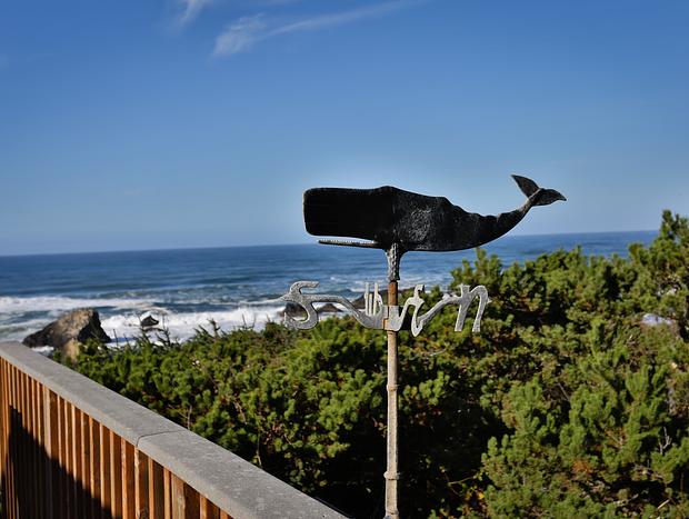 Photo 34 for Boutique Cottage - Intimately Private with Hot Tub