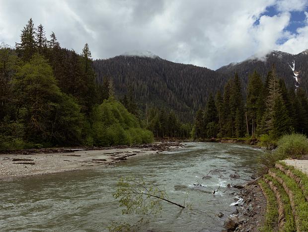 Photo 14 for Classic PNW Vibes at Mount Baker