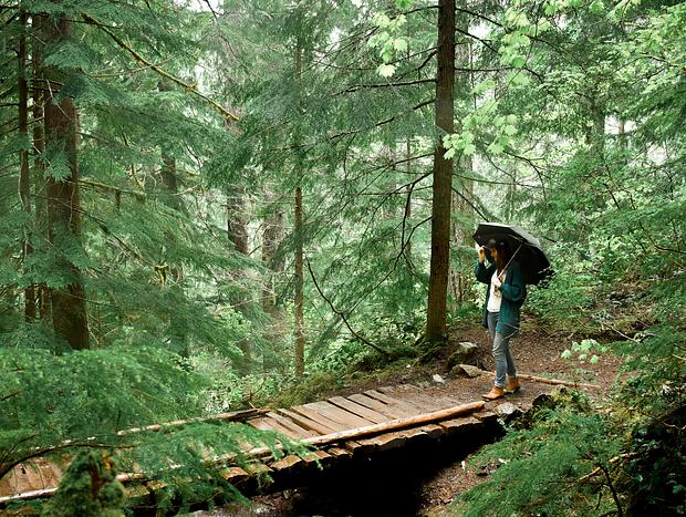 Photo 2 for Silver Falls