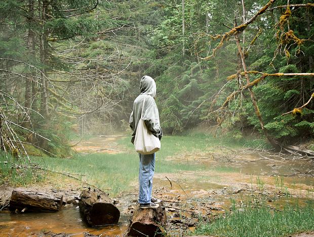 Photo 4 for Silver Falls