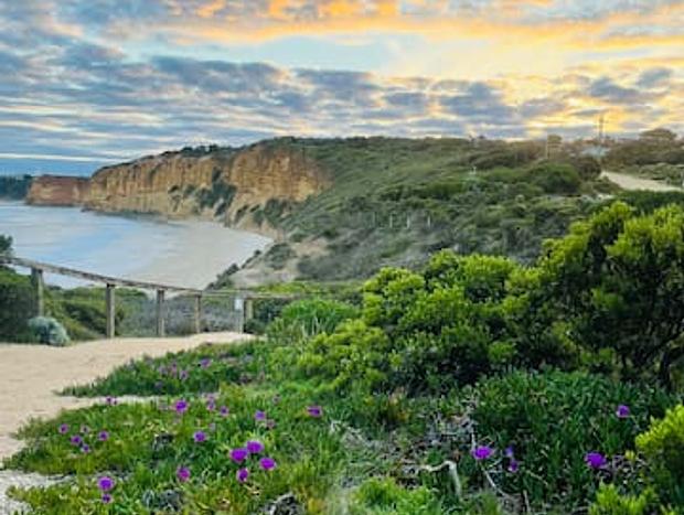 Photo 4 for Tranquil Surf Coast escape nestled in the trees