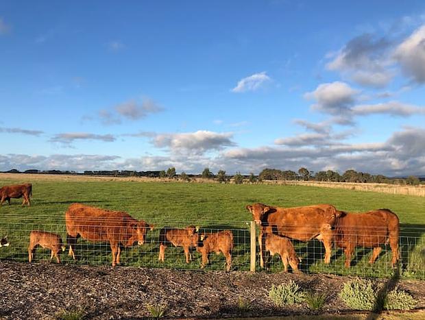 Photo 15 for Croft House - Birregurra