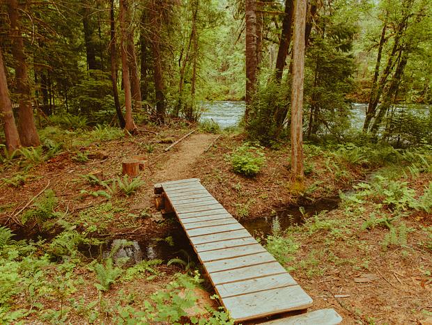 Photo 14 for Peaceful Riverfront Escape on the McKenzie
