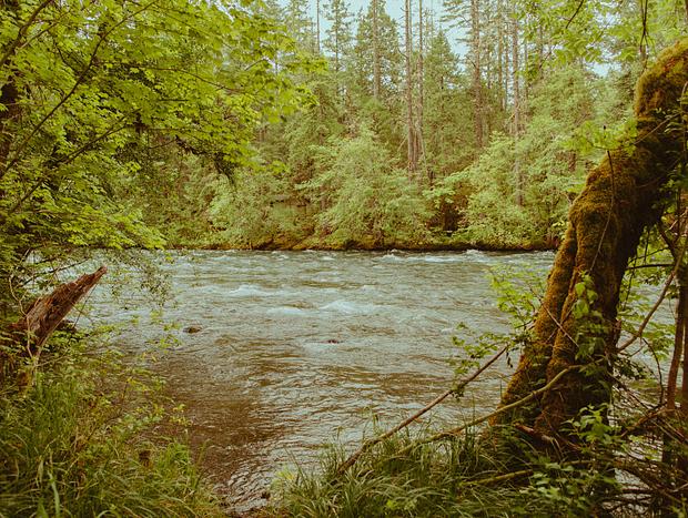 Photo 18 for Peaceful Riverfront Escape on the McKenzie
