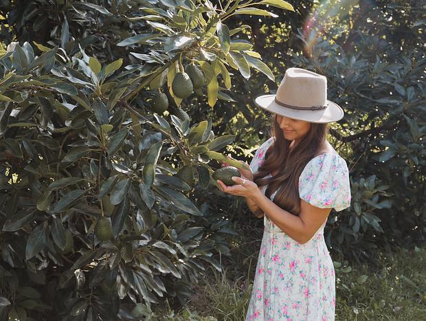 Photo 2 for Picnic Amongst the Avocado Trees