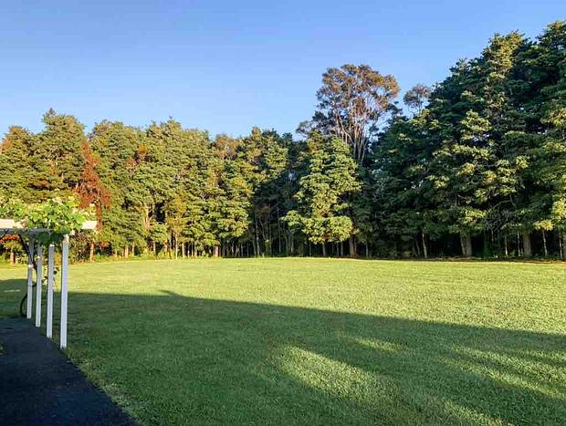 Photo 16 for Native Forest Retreat - Rosemount Green